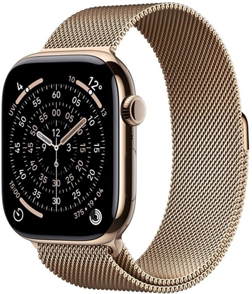 Изображение Apple Watch 11 46mm GPS+5G Titan Milanese M/L gold/gold
