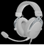 Attēls no Austiņas Genesis Toron 531 White