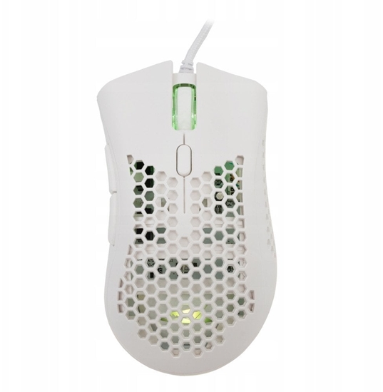 Picture of Baracuda BGM-031 Coral biay