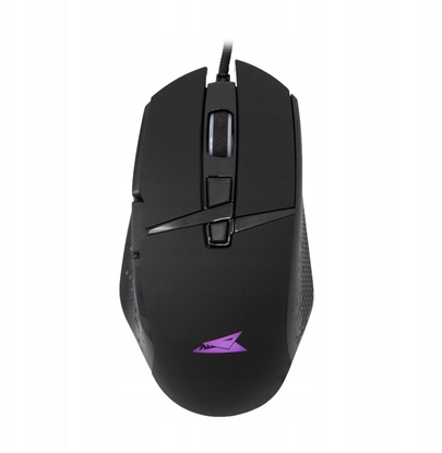 Picture of Baracuda BGM-051 Raptor czarny