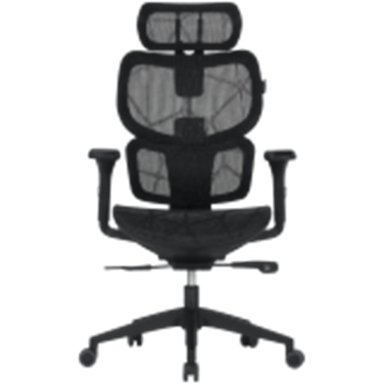 Picture of CANYON CNS-MOCH01