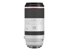 Picture of Canon RF 100-500mm F4.5-7.1L IS USM Lens
