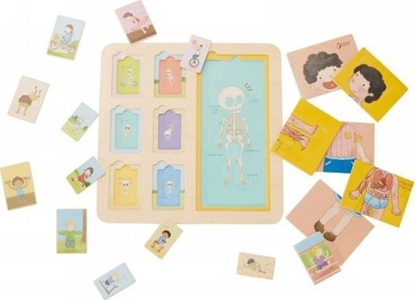 Изображение Classic World CLASSIC WORLD Tablica Edukacyjna Ciao Ludzkie Ukadanka Klocki Puzzle dla Dzieci Dopasuj 19 el.