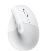 Picture of Datorpele Logitech Lift Vertical White