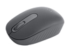 Picture of Datorpele Logitech M196 Graphite