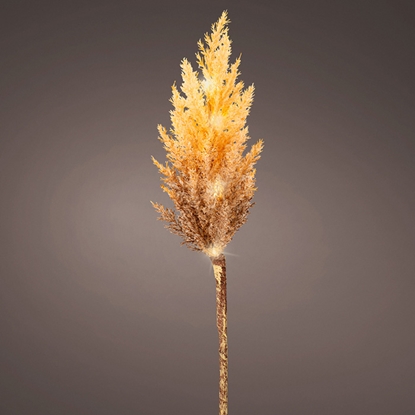 Picture of Dekors Pampas zāle ar LED silti balta h70cm B/O taimeris