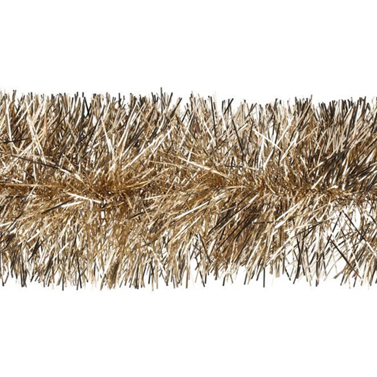 Picture of Egl. rotāj. Virtene Winteria šampanieša 2.7m d15cm