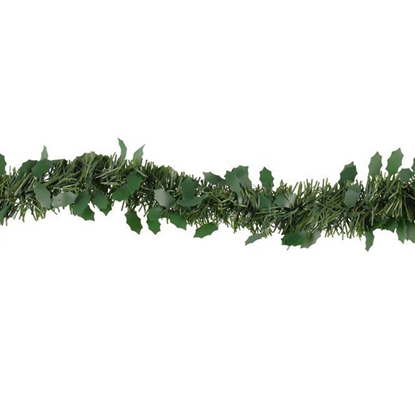 Picture of Egl.rotāj.virtene Winteria zaļš, sarkanas ogas 2.7m