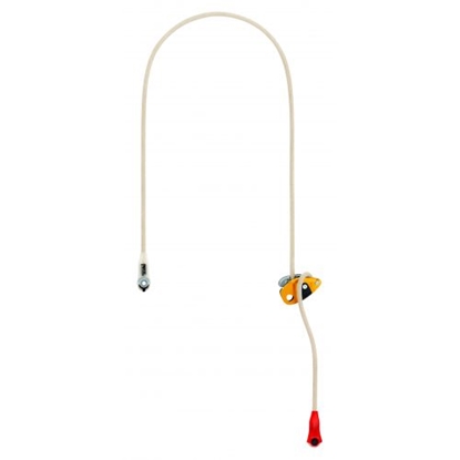 Изображение Grillon Plus U