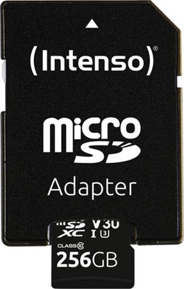 Изображение Intenso microSDXC          256GB C10 UHS-I Professional + Adapter