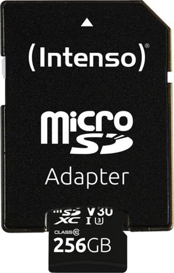 Picture of Intenso microSDXC          256GB C10 UHS-I Professional + Adapter