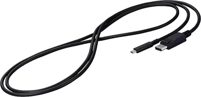 Attēls no Kabel USB Eizo USB-C - DisplayPort 2 m Czarny (CP200-BK)