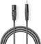 Изображение Kabelis Nedis XLR M - 3.5mm M 3m