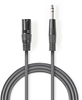 Изображение Kabelis Nedis XLR M - 6.35mm M 5m