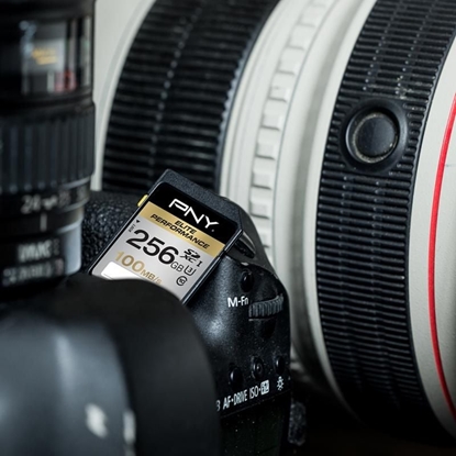 Attēls no Karta PNY Elite Performance SDXC 256 GB Class 10 UHS-I/U3  (SD256ELIPER-EF)