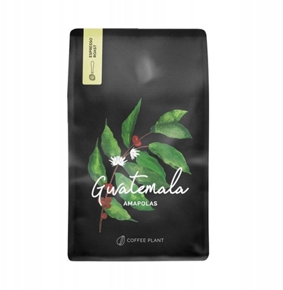 Attēls no Kawa ziarnista Coffee Plant Kawa ziarnista COFFEE PLANT Gwatemala Makowce 250g