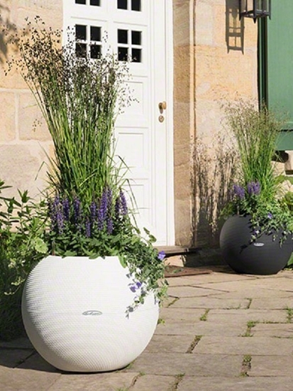 Picture of Lechuza Vazonas Lechuza Puro Color 50, v. spalv