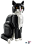 Picture of LEGO Ideas Biao-czarny kot (21349)