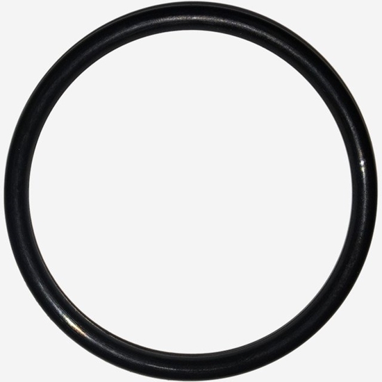 Picture of LEIFHEIT Blivgumija O-Ring vakuuma logu tiritajam Nemo 4006501892225