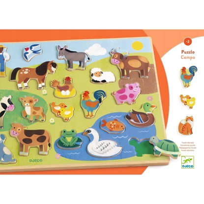 Picture of Medin dlion - kis