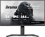 Изображение Monitor iiyama G-Master GB2441HSU-B1 Black Hawk