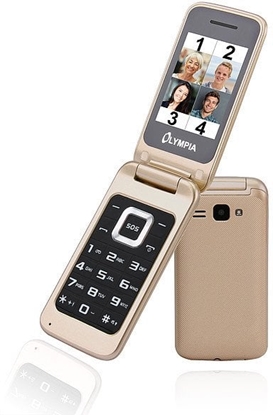Изображение Olympia  Luna Dual SIM gold