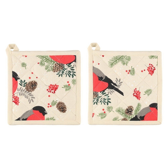 Picture of Paliktnis Winteria 20x20cm 2 gab.