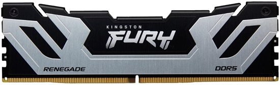 Picture of Pami Kingston Fury Renegade, DDR5, 24 GB, 8800MHz, CL42 (KF588CU42RS-24)
