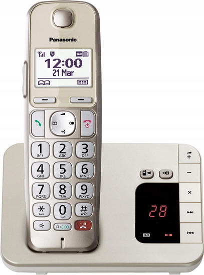 Picture of Panasonic KX-TGE260GN champagne