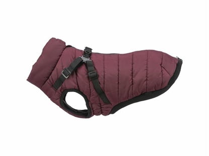 Picture of Paszcz dla psa Trixie Pirou Kasztanowy M