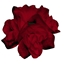 Изображение Rotājums Roze 15cm, sarkana