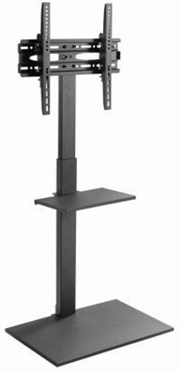 Изображение TV stiprinājums Gembird 32" - 55" TV floor stand