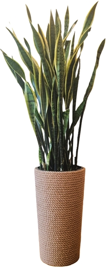 Picture of Adoni Doniczka jutowa z wkadem r. 32cm wys. 57cm (adoni57)