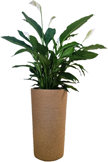 Изображение Adoni Doniczka jutowa z wkadem r. 44cm wys. 75cm (adoni75)