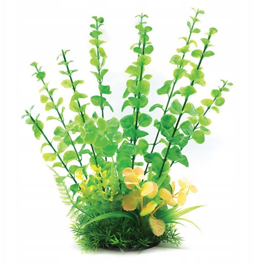 Picture of Aqua Natura,  rolina, do dekoracji akwarium, zielona, plastikowa, 31 cm , dugie odygi i drobne licie