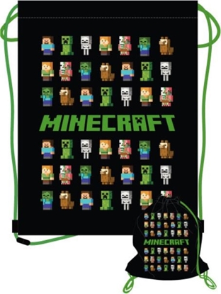 Picture of Astra Worek na Obuwie Minecraft