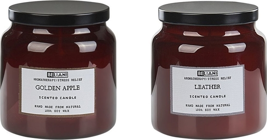 Изображение Beliani 2 wiece zapachowe sojowe zote jabko/ skórzany ABSOLUTE ALCHEMY