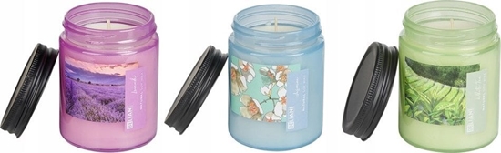 Изображение Beliani 3 wiece zapachowe sojowe biaa herbata/ lawenda/ jamin FRUITY BLOOM