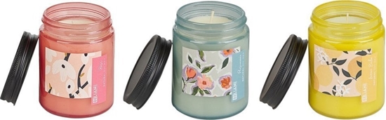Изображение Beliani 3 wieczki zapachowe sojowe róa/owoc kaki/melisa FRUITY BLOOM