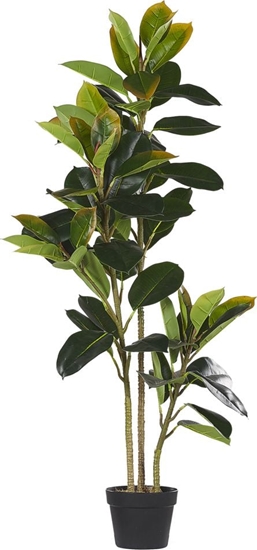 Изображение Beliani Sztuczna rolina doniczkowa 134 cm FICUS