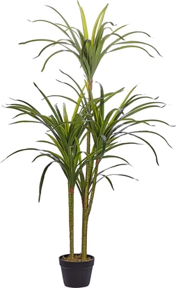 Изображение Beliani Sztuczna rolina doniczkowa 147 cm DRACAENA ANITA