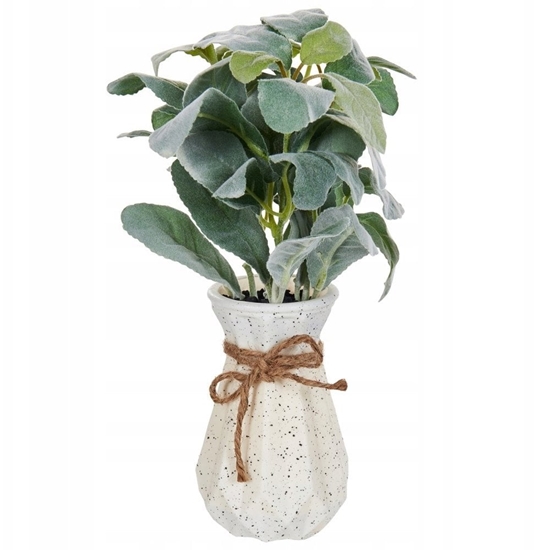 Изображение Beliani Sztuczna rolina doniczkowa 30 cm PEPEROMIA ARGYREIA