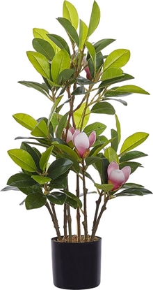 Изображение Beliani Sztuczna rolina doniczkowa 70 cm MAGNOLIA