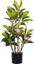 Изображение Beliani Sztuczna rolina doniczkowa 70 cm MAGNOLIA