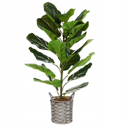 Изображение Beliani Sztuczna rolina doniczkowa 72 cm FIDDLE LEAF TREE