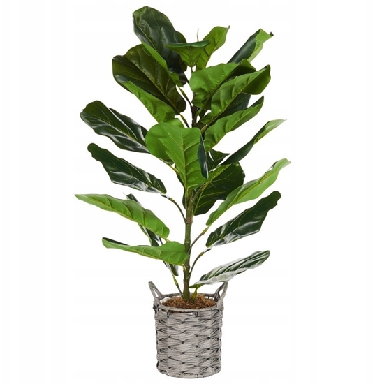Изображение Beliani Sztuczna rolina doniczkowa 72 cm FIDDLE LEAF TREE