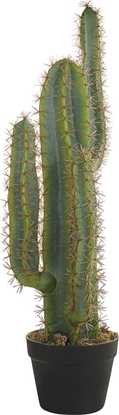 Изображение Beliani Sztuczna rolina doniczkowa 78 cm CACTUS