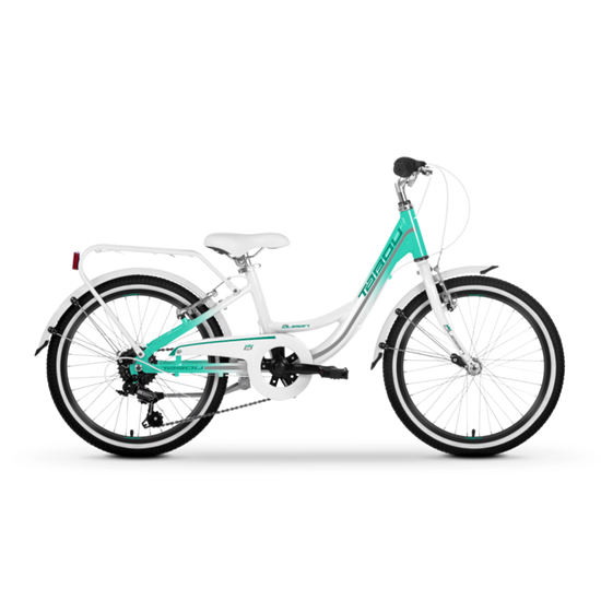 Picture of Bērnu velosipēds TABOU Queen 20, balts-piparmētru krāsā