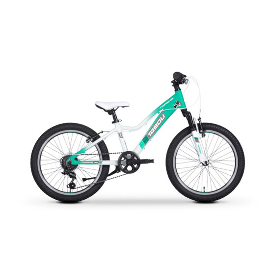 Изображение Bērnu velosipēds TABOU Topshe 20, piparmētru balts