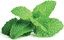 Picture of Click & Grow Smart Garden refill Peppermint 3-pack